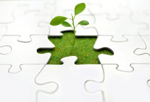 Business Growth with Invoice Factoring and Supplier Assurance Letters