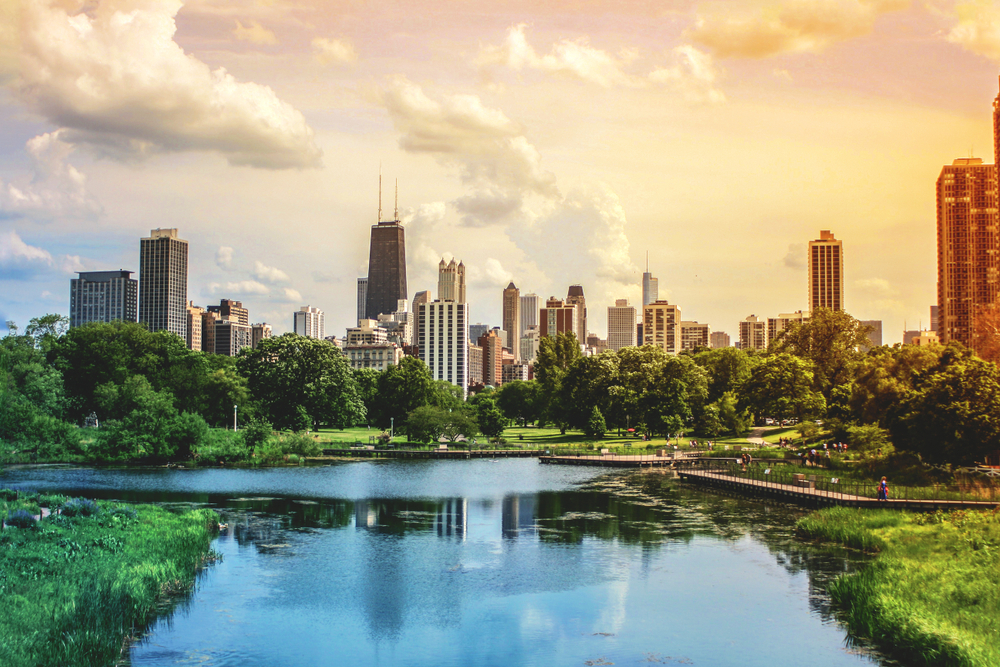 Chicago Office - Skyline